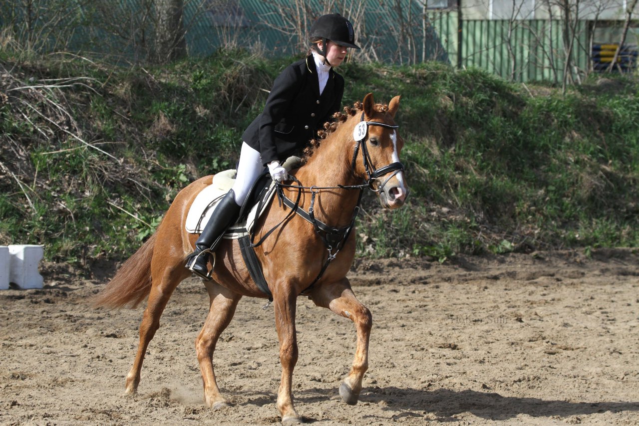 Bild 1154 - WBO-Turnier am 9.4.11